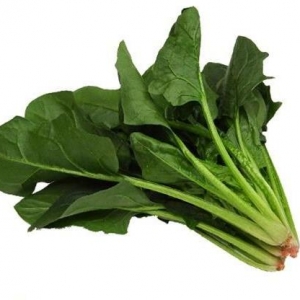 什么樣體質(zhì)適合吃菠菜 什么樣體質(zhì)不適合吃菠菜