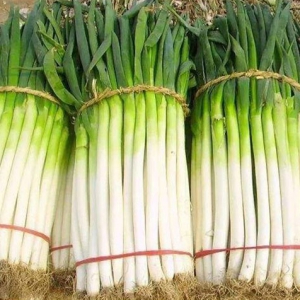 大蔥能夠健脾開胃增進(jìn)食欲 吃大蔥好處一覽