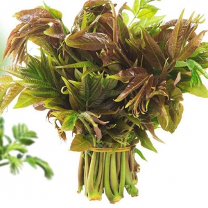 吃香椿有補(bǔ)虛壯陽固精、補(bǔ)腎 吃香椿好處一覽