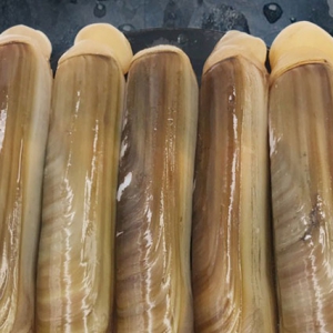 吃蟶子有補(bǔ)腦健腦作用 吃蟶子好處一覽