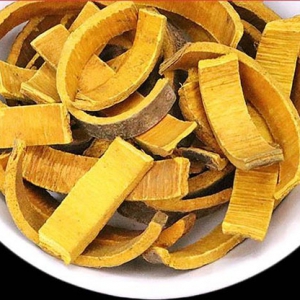 關(guān)黃柏補(bǔ)腎壯陽的功效 關(guān)黃柏功效作用一覽