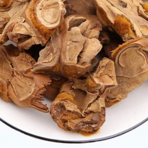 中藥狗脊祛風(fēng)濕補(bǔ)肝腎強(qiáng)腰膝的功效