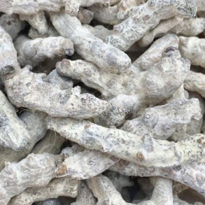 僵蠶化痰散結(jié)清熱解毒功效 僵蠶功效作用一覽