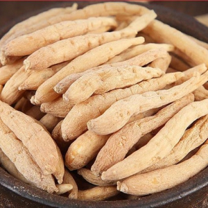 太子參可提高免疫力 太子參價(jià)格一覽